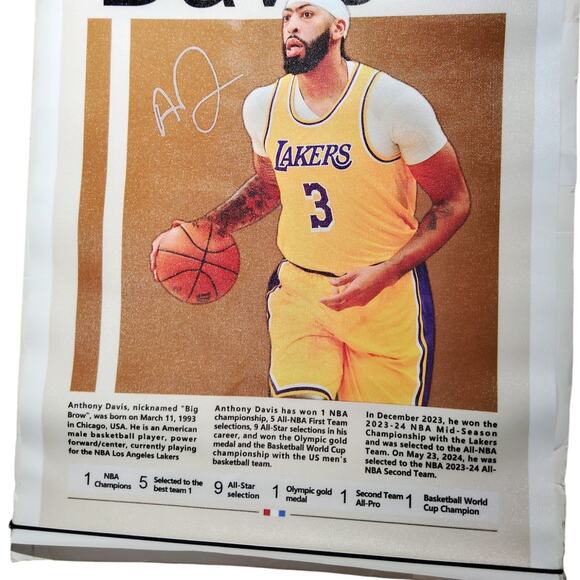 Anthony Davis Los Angeles Lakers Canvas Art, Basketball Print, 12x16" Unframed - Picture 3 of 4
